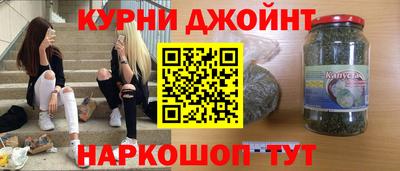 дмт Гай