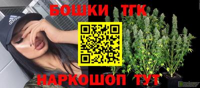 дмт Гай